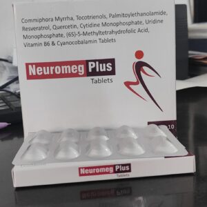 Neuromeg Plus